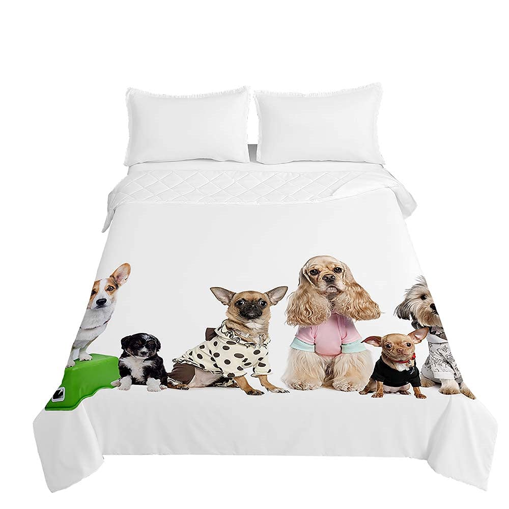 Surwin Embossed Quilted Bedspreads Single Double Super King Size, Bedspread Quilt Sofa Throws Blanket Lightweight Coverlet Microfiber Comforter Bed Sheet - 3D Dog Print (Cocker Spaniel,130 * 150cm)