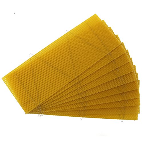 easibee National Bee Hive Super Wired 100% Natural Beeswax Wax Foundation Sheets 10pcs (10)