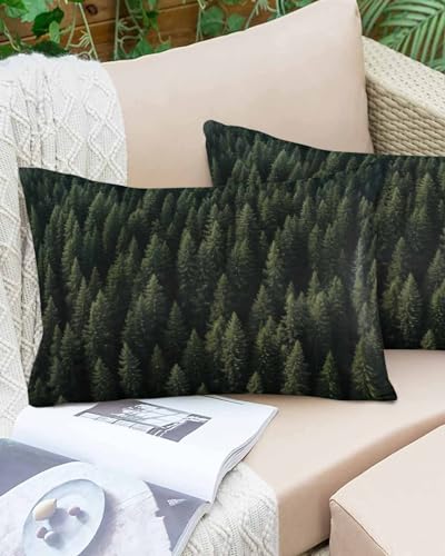 Boanket Lumbar Pillow Covers 12 x 20 In, Dark Green Forest Waterproof Throw Pillow Cover Set of 2, Pine Trees Modern Mysterious Art Home Decorative Rectangle Cushion Covers for Patio/Tent/Couch/Garden