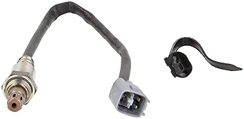 ベジフラ 9992801.jpg