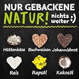 QCHEFS GLÜCKLICHMACHER Kauknochen zur Zahnpflege bei Jungen und Alten Hunden, Kaustange löst Sich im Mund auf und stoppt Mundgeruch putzt Zähne und bei Zahnfleischentzündungen