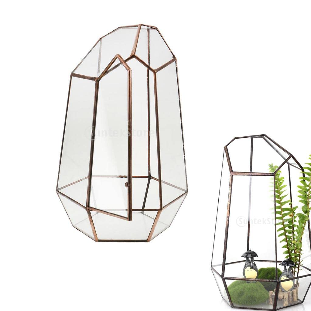 B Baosity Terrarium Géométrique Irrégulier pour Plantes Succulentes - Décoration Intérieure, Cuivre 6, 12 x 12 x 19cm