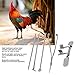 ohcoolstule Chicken Capon Tool Stainless Steel Kit Poultry Veterinary Instrument for Castration Chicken Poultry Farms Tools, Durable 5Pcs Chicken Capon Tool