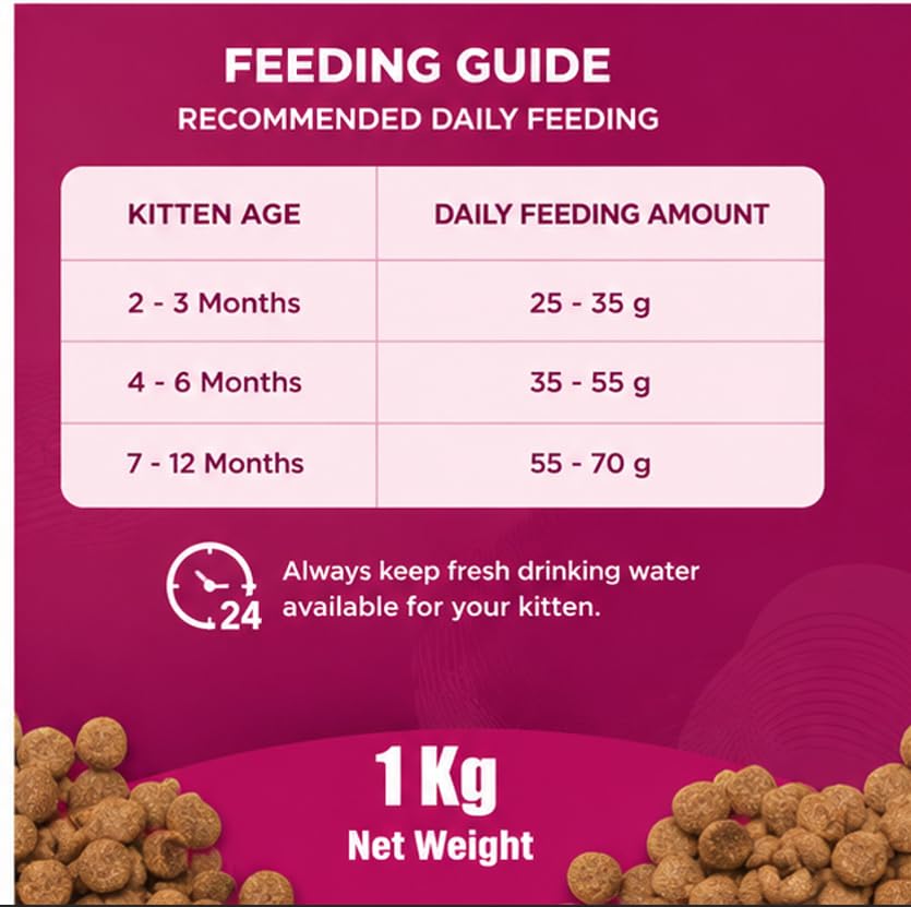 INVIGRO Fish & Milk High Protein Kitten Dry Food 1kg - Complete & Balanced Nutrition -Supports Muscle Strength, Digestion & Healthy Coat 4