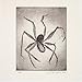 Louise Bourgeois: An Unfolding Portrait