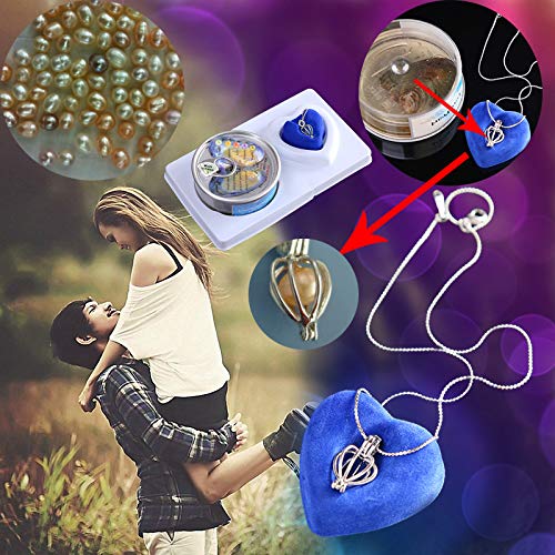 1 Juego de collar de perlas Love Wish Set Colgante de gota...