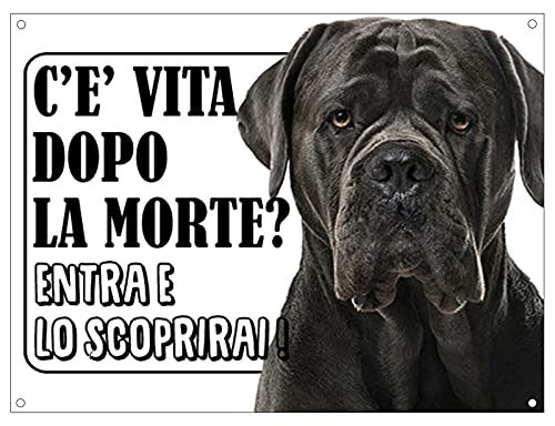 Facile da Montare: Il montaggio a parete rende l'installazione semplice e veloce