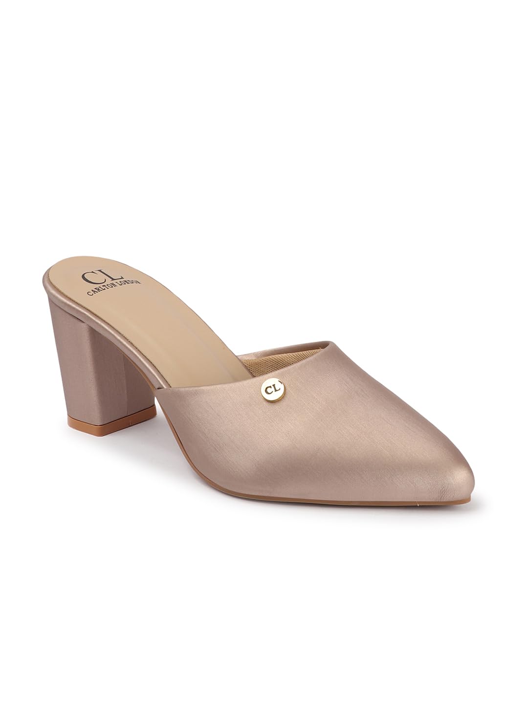 carlton london Women Comfortable Fashion Pointed Toe Heeled Mule Shoes for Daily use, Office use, Casual use-picture-51