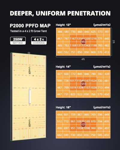 VIPARSPECTRA P2000 250W