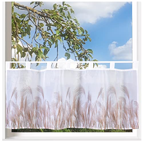 heimtexland ® Scheibengardine Gardine Digitaldruck HxB 45x120 Fensterdekoration Bad Maritim Oekotex Typ789 Pampasgras Weiß