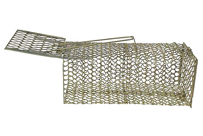 Rat/Mouse Trap Cage | Mouse, Rat, Mice Catcher Metal Cage | Stainless Steel Chuha Pinjra, (Multicolor)-image-31