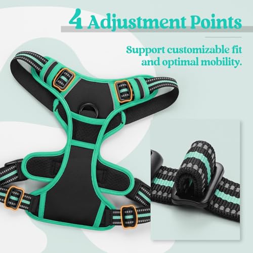 Image of rabbitgoo Dog Harness No Pull with 2 Leash Clips, Adjustable Soft Padded, Reflective Oxford No Choke Pet Vest with Easy Control Handle for Large Dogs, Black & Turquoise, XL