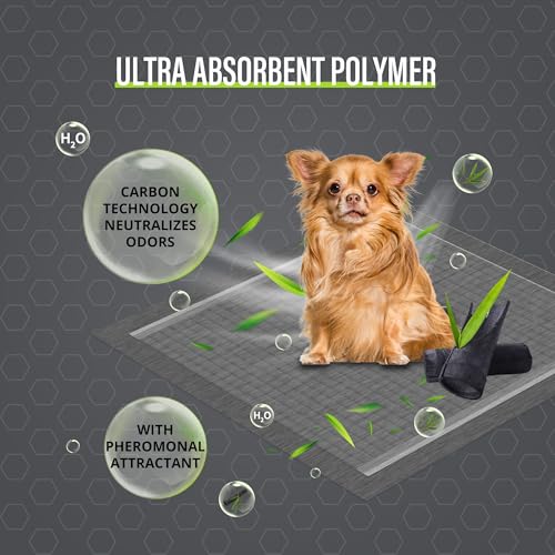 Image of COCOYO Charcoal Dog Pee Pads Extra Large 35 inchx40 inch,Dog Training Pads Giant Size, Disposable Urine Bed Pads for Odor-Control, Training Liners for Housebreaking (30 Counts)