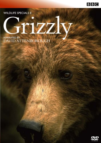クマのキャラクター DVD Amazon.co.jp: マーシャとくま シーズン2 [DVD] : 木野日菜