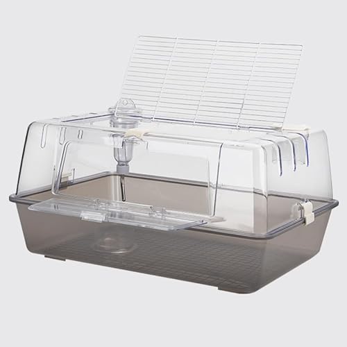 nX^[ P[W SʃNA S nX^[ P[W 傫 P[W  [߃gC ЎXCb` ̐^ K ֗ ϋv ʂ悢 S[fnX^[ bg nlY~ ঒ pP[W (A)