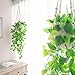 Mkono 3 Pack Macrame Plant Hangers Indoor Different Size Hanging Planter Basket Flower Pot Holder with Beads No Tassels 35