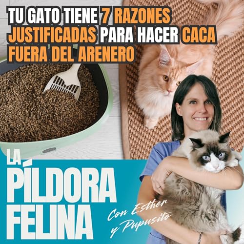 659. Tu gato tiene 7 RAZONES JUSTIFICADAS para hacer CACA FUERA DEL ARENERO