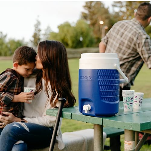 Portable Electric Beverage Cooler
