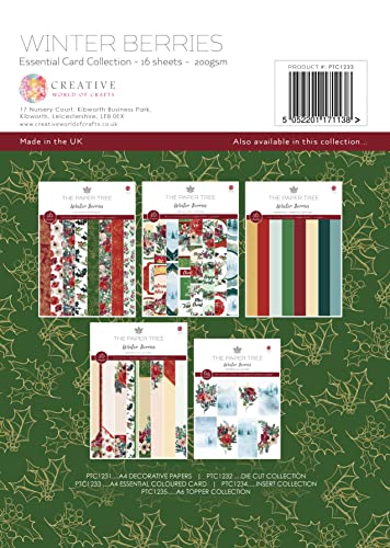 The Paper Tree Winter Berries-Essential Colour Card, Multicoloured, A4