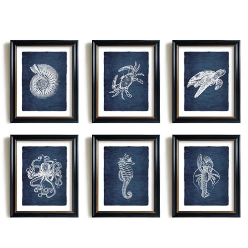 Navy Blue Nautical Wall Art Sea Turtle Octopus Shell
