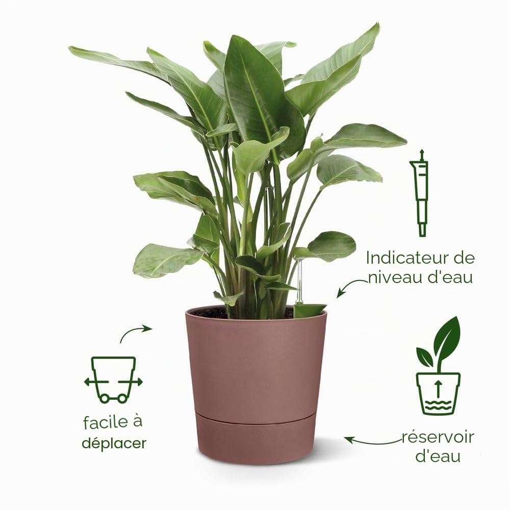 Elho Greensense Aqua Care Rond 43cm Pot de Fleur - Ciment Clair