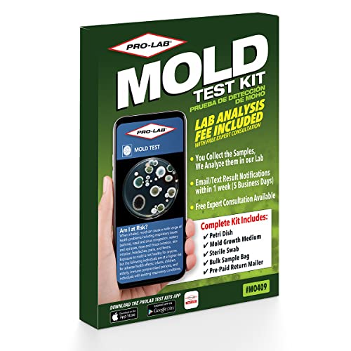 The Best Mold Test Kits in 2022
