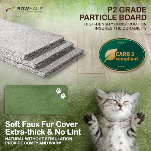BOWHAUS Cactus Cat Tower 20-Inch para gatos miniatura 5