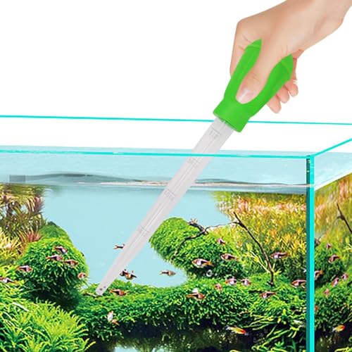 Osybg, ق̃TStB[_[, 30 ~bg̉aAُ^~j`FW[zpCv^X|Cg蓮jo[T򋋉azAt̃X|CgA@\TCtHhbp[TSʐANwrgJQp