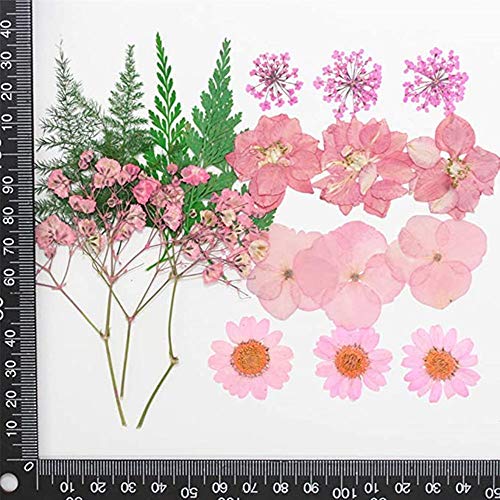 Flores secas mezcladas para manualidades y artesanía miniatura 3