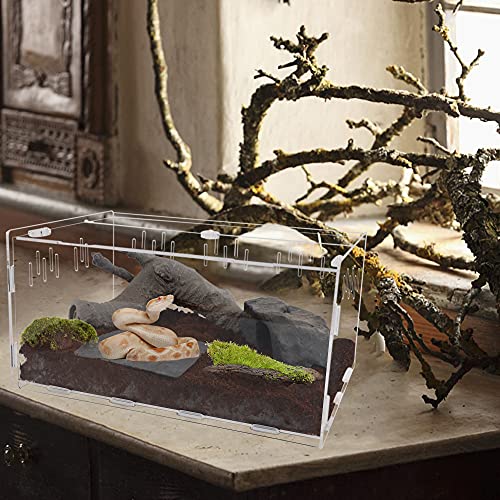 Winemana Reptile Terrarium, Tarantula Enclosure thumb #5