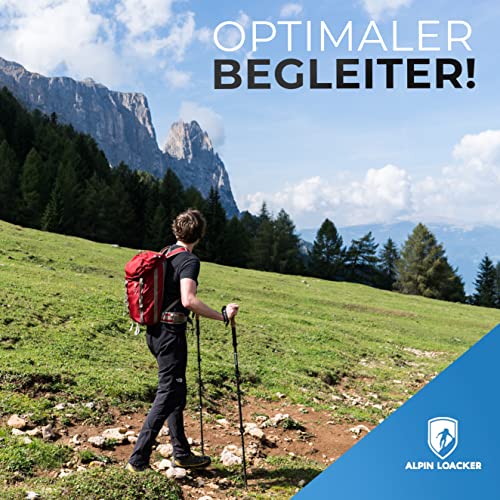 Alpin Loacker Teleskop Wanderstöcke Carbon mit Korkgriff I Leichte Nordic Walking Stöcke Damen und Herren für Skifahren… - Image 7