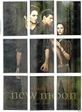 NECA Twilight/New Moon Foil Trading Card Set (T-1/T-9)
