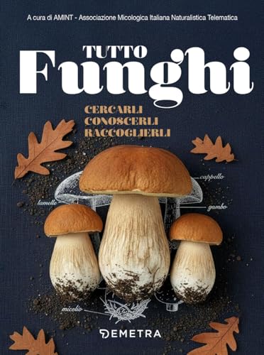 Tutto funghi. Cercarli conoscerli raccoglierli