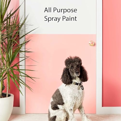Image of Krylon K05582007 COLORmaxx Primer Spray Paint for Indoor /Outdoor Use, Gray, 12 Ounce (Pack of 1)