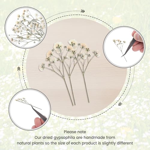 Flor seca artificial Babys Breath blanco x100 unidades miniatura 3