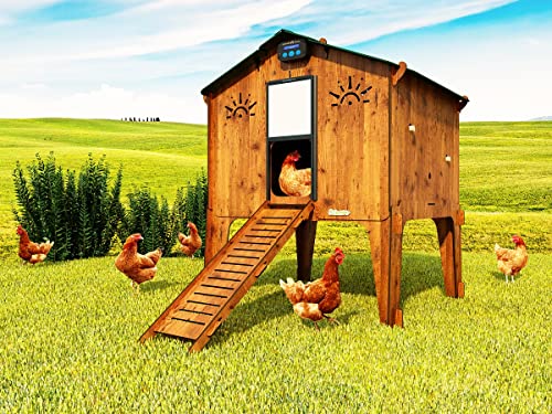 Erhöhter Hühnerstall mit Leiter für 8 10 Hühner Legehennen Dekoration POLLY DUPLEX L mit 2 Sitzstangen 2 Sitzplätzen…
