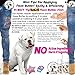 The Blissful Dog American Bulldog Nose Butter, Versatile Dog Nose Balm for Dry Nose, Handcrafted Nose Moisturizer, Easy-to-Apply Dog Essentials, Unscented, 0.5 oz.