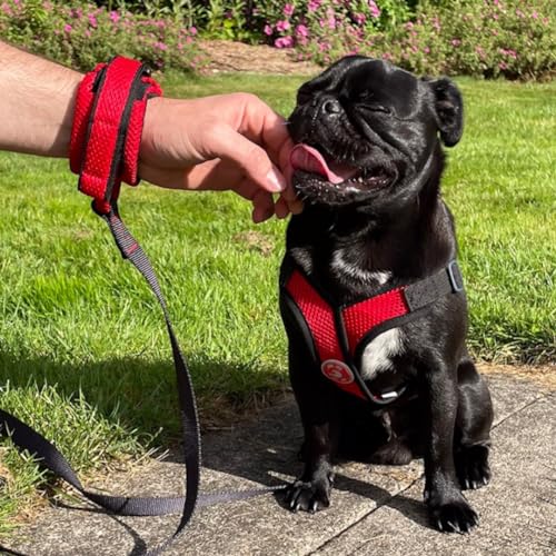 Image of Gooby Soft Mesh Wristband Surfer Leash, Turquoise, 6 FT | Hands-free wristband; Breathable padded mesh; 6 ft; Adjustable hook-and-loop fastener; Match your harness
