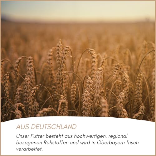 Supravit Freilandfutter für Vögel 25kg I energiereiches & proteinreiches Vogelfutter für Freilandvögel & Wildvögel I ideal zur Fütterung Aller freilebenden Vogel-Arten im Sommer geeignet