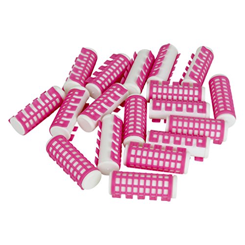 Evelots Heated Hair Curlers-1 inch Rollers-Pro Salon-Safe Hair-Set/18