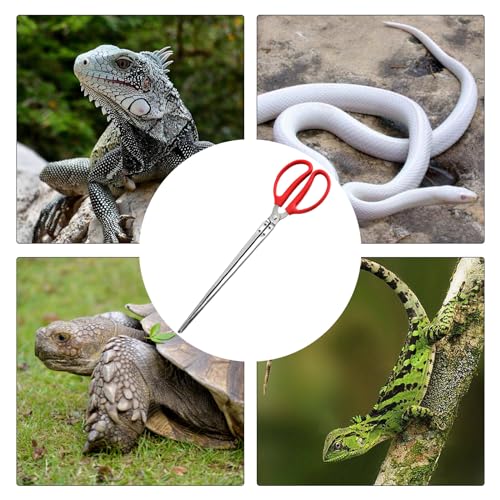 Image of Reptile Feeding Tongs, 15 Inch Stainless Steel Reptile Feeding Tongs Long Handled Tweezers Tipped Feeding Tool for Fish Aquariums Reptiles Snakes Lizard Gecko Spider and Bird