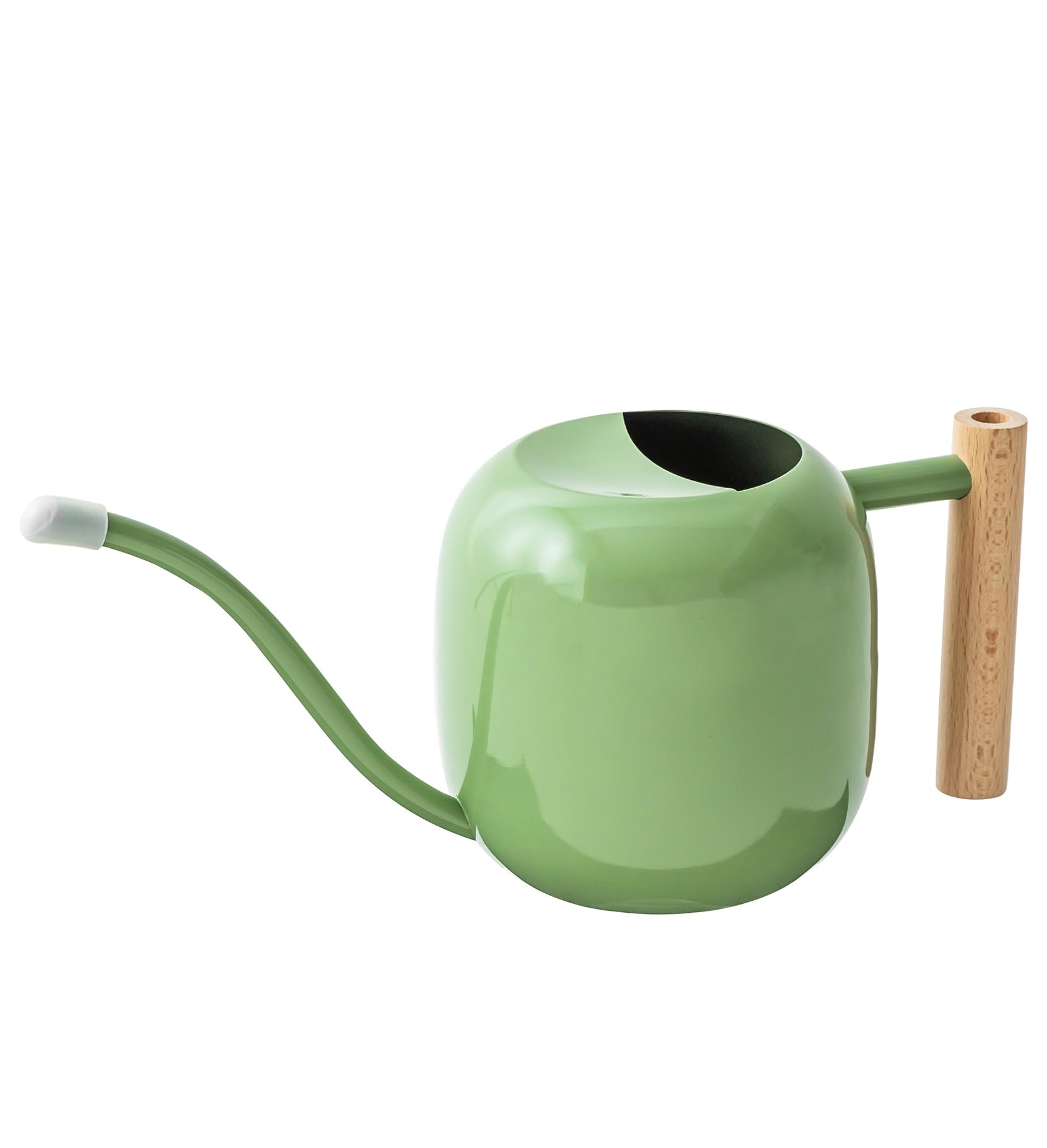 Baffect Arrosoir d'intérieur pour plantes d'intérieur et bonsaï (1,2 L, vert sauge) | Petit pot d'arrosage en métal pour plantes d'intérieur avec long bec et poignée en bois, 1 162,3 g