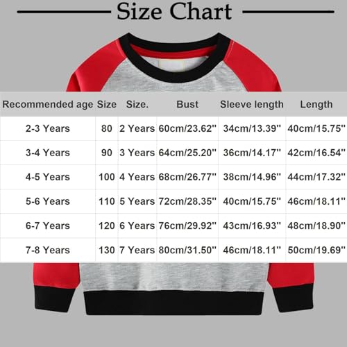 Girls Boys Toddler Cute Sweatshirt Crewneck Long Sleeve Sweatshirts Fashion Casual Loose Funny Graphic Pullover3