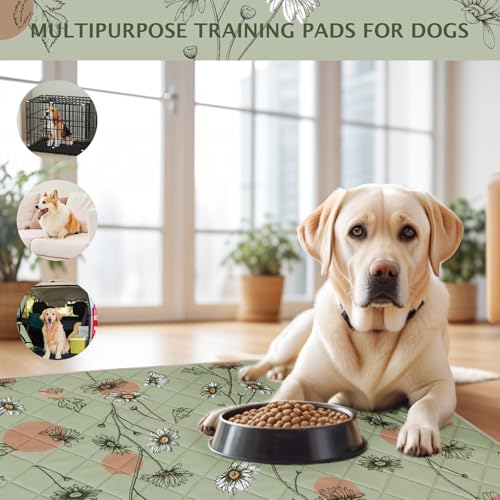 Image of IEUUMLER Washable Pee Pads for Dogs, 2 Pack Non-Slip & Waterproof Pack Whelping Pad, Reusable Washable Puppy Potty Training Pad with Fast Absorbent for Playpen EU007 (Grass Green Daisy, 36 inchX41 inch-2pcs)