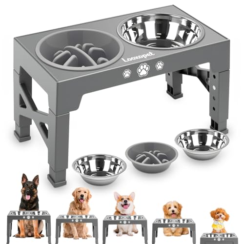 Comedouro Elevado para Cães Gatos Pet inox com Lento Cor Cinza