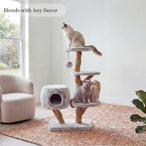 Torre moderna para gatos con rascador y cama de madera miniatura 3