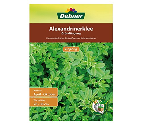 Dehner Alexandrinerklee, Gründüngung, 500 g, für ca. 100 qm & Saatgut, Gründüngung, Gelbsenf, 500 g, für ca. 100 qm - Image 3
