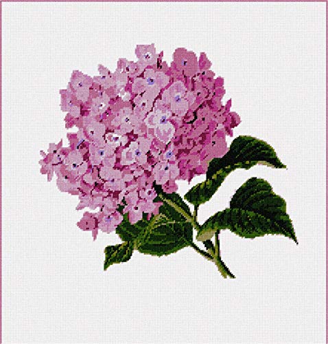 Pepita Needlepoint kit: Hydrangea Pair, 17