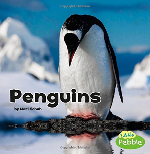 Penguins (Little Pebble: Black and White Animals)