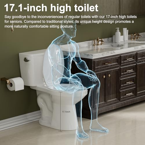 Simple Project 17.1 Inch Extra Tall Toilets thumb #1